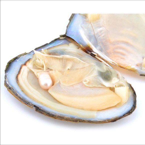 REAL Oyster & Pearl Silver Necklace Set - Picture 2 of 4